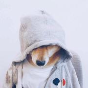 可乐焖大虾的个人资料头像