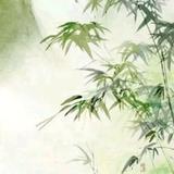 白山08头像