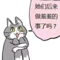 奔放真熊头像