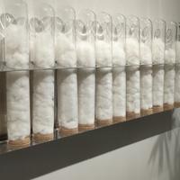 用户6120425846767头像