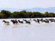 用户2293643179106的个人资料头像