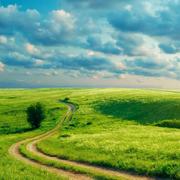 电小二还是我的个人资料头像