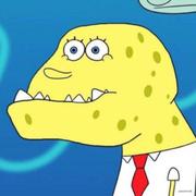 用户62273的个人资料头像