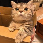 jackliangliang的个人资料头像