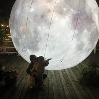 外向星空强兮强头像