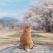 轻痕微凉的个人资料头像