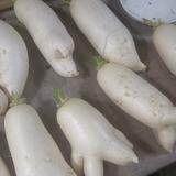 生产劳动头像