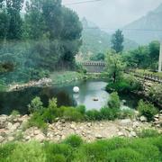 枫叶123的个人资料头像