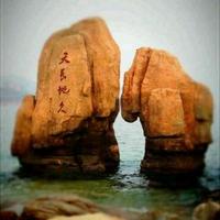 爱喝纯白开水头像