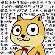 北极光的个人资料头像