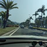 一岁就学坏cx头像