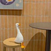 南方月光的个人资料头像