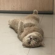 Patrick君75354的个人资料头像