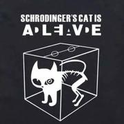 Nixy单宁王小姐姐的个人资料头像