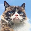 麦子在掘金的个人资料头像