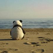 Gog_的个人资料头像