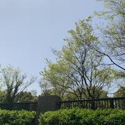 Still的个人资料头像