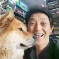 正义凛然帆船vI头像