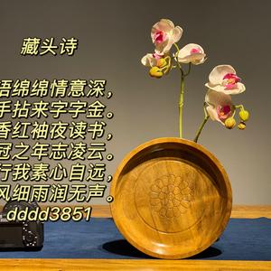 翰林清心如水头像