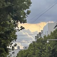 团团白芸头像