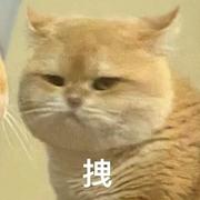 越狱的陈奕迅的个人资料头像
