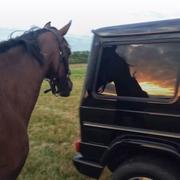 用户5382530437203的个人资料头像