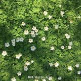 用户639590621489头像