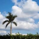 weej的个人资料头像