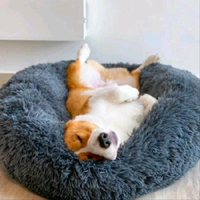 刚刚好就好v头像