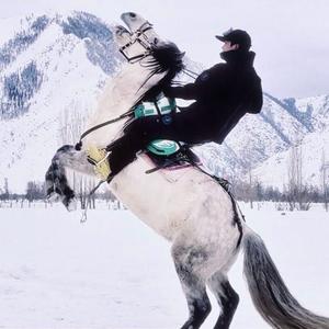 驴驴（卧薪尝胆）