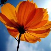 0x4F5DA2的个人资料头像