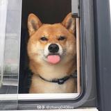 天天8245673414929头像