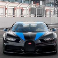 勇敢的葡萄gfO头像