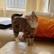 用户23532483114的个人资料头像