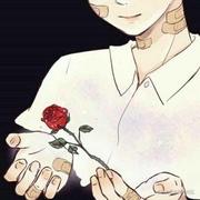 web小熊的个人资料头像