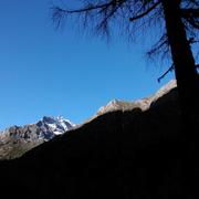 Chen29的个人资料头像