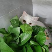 为撒尼123的个人资料头像