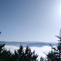 长安人秦时明月头像