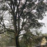 用户8701222139798头像