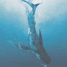 黎黎原上草的个人资料头像