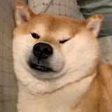 用户9745207323839头像