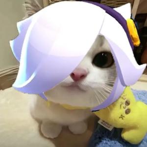 会铲铲吗头像