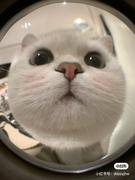 Samuel的个人资料头像