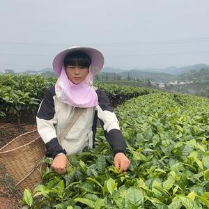 姚叶子头像