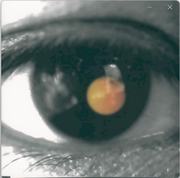 Anonymous077的个人资料头像