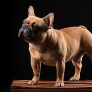 菜鸟先飞763的个人资料头像