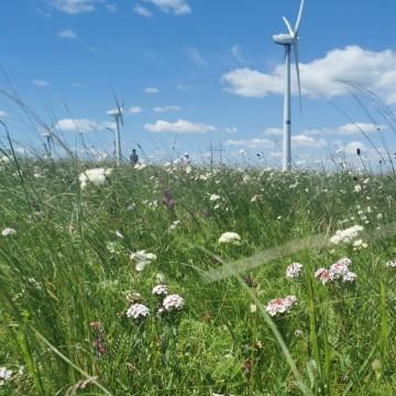 番茄3676375437287256头像