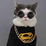 小陈叔叔的屌丝生活头像