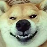 萧城醉梦头像