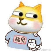 大犀牛的个人资料头像